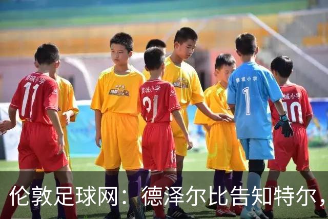 伦敦足球网：德泽尔比告知特尔，他下赛季将会得到重用
